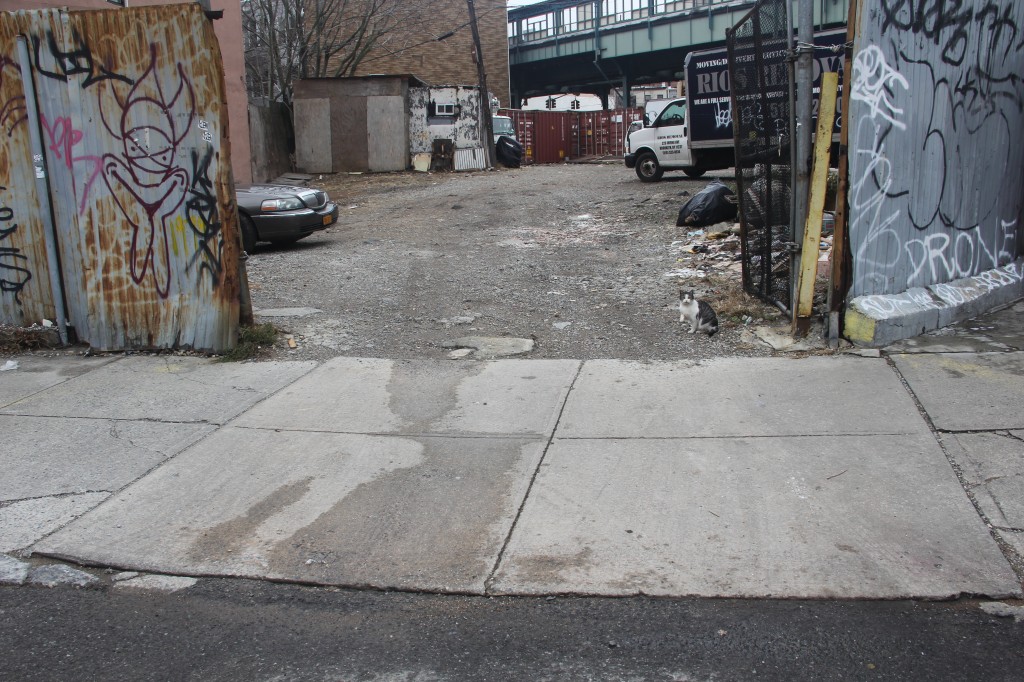 Sample Collection Site